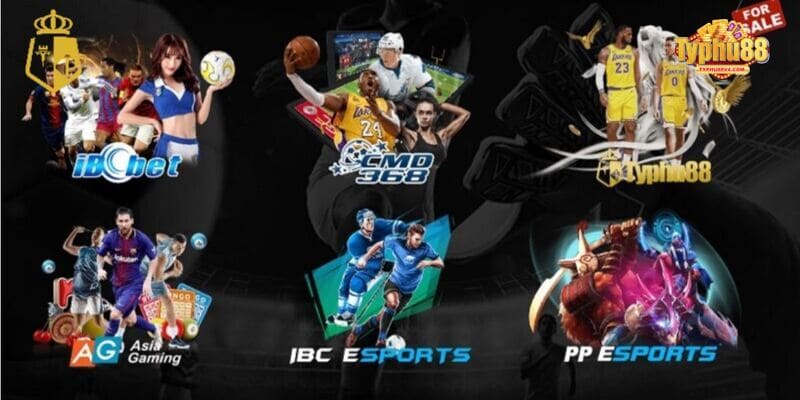 Giới thiệu sảnh Esports Typhu88 hấp dẫn